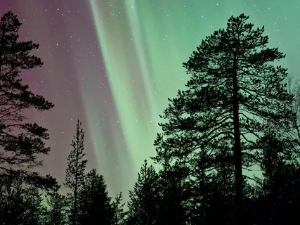 Cultivating Compassion 