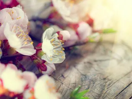 Cultivating Compassion for Mental Well-being