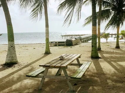 Cultivating Compassion For Self And Others