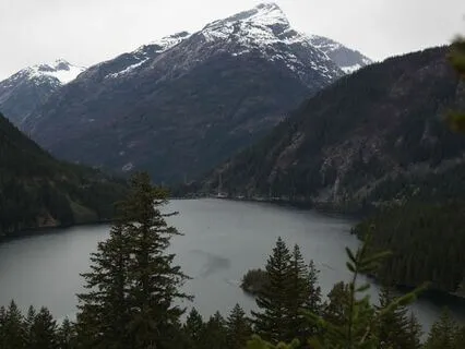 Cultivating Compassion