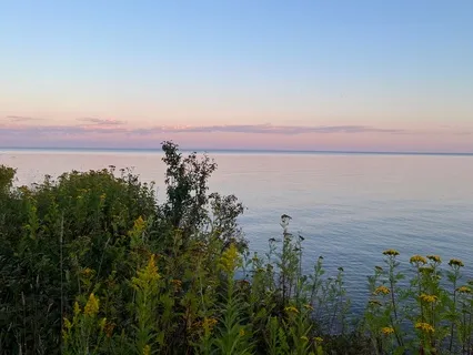 Cultivating Compassion