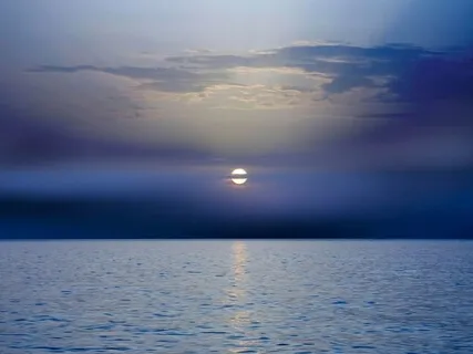 Cultivating Curious, Warm Presence