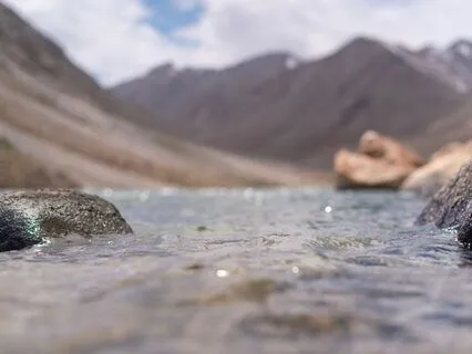 Reflecting On Life And Impermanence