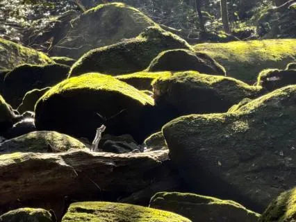 Cultivating Equanimity And Inner Peace