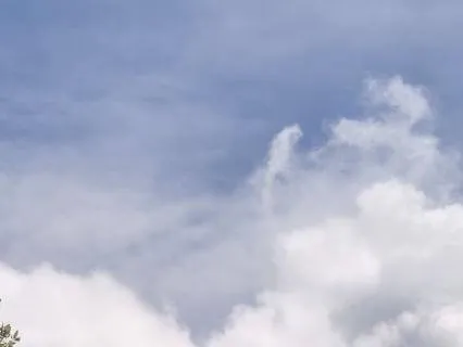 Cultivating Feelings Of Peace