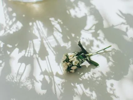 Cultivating Flow: A Meditation On Ease