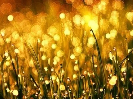 Cultivating Focus Through Awareness Of The Breath And The Body