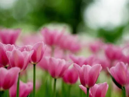 Cultivating Forgiveness When Your Heart Is Heavy