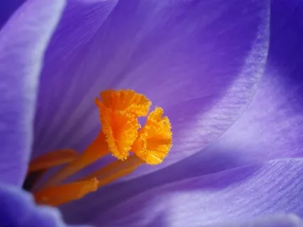 Cultivating Graciousness