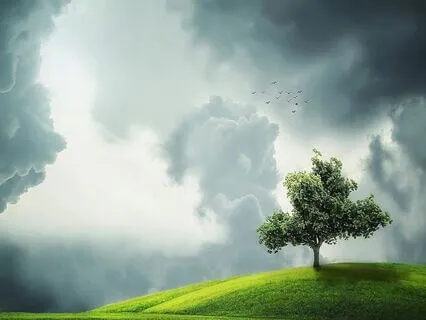 Cultivating Gratitude: 10-Minute Reset