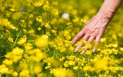 Cultivating Gratitude