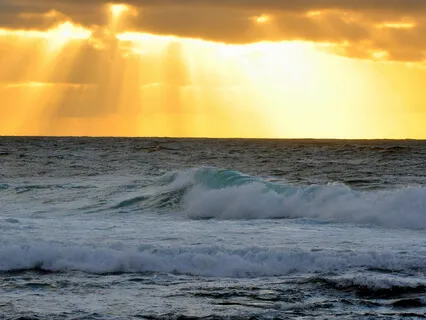 Cultivating Gratitude