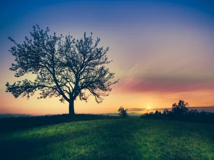 Cultivating Gratitude