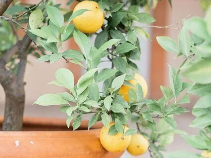 Cultivating Gratitude For The Small Things: You Are Loved