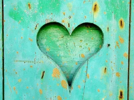 Cultivating Gratitude 