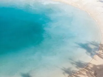 Cultivating Greater Connection