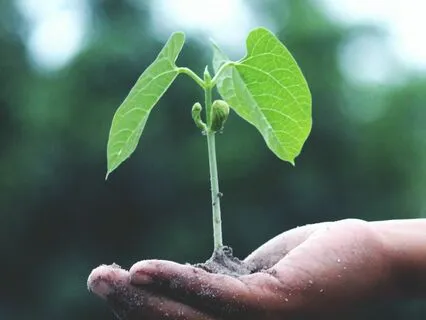 Cultivating Happiness & Abundance