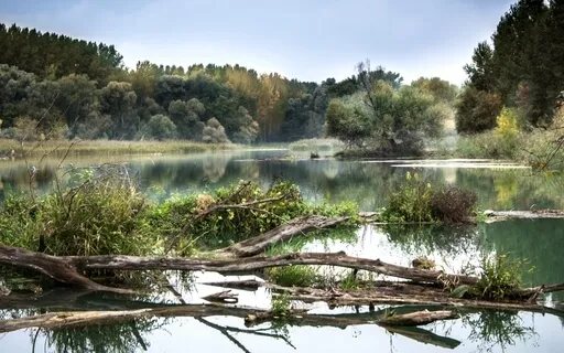 Cultivating Happiness & Calmness