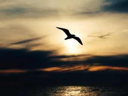 Cultivating Hope In Addiction Recovery