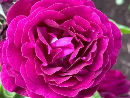 Cultivating Inner Growth: A Visualization Meditation