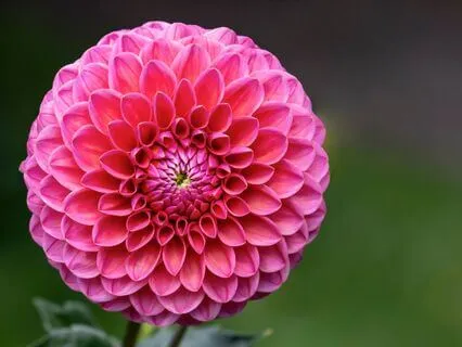 Cultivating Inner Peace Through The Ancient Art Of Drishti