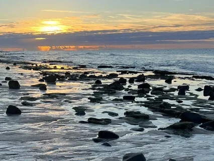 Cultivating Joy Near The Sea Of Cortez Meditation 