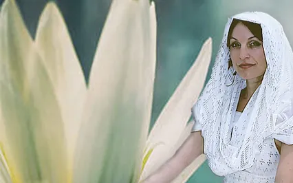 Cultivating Joy That Lasts 