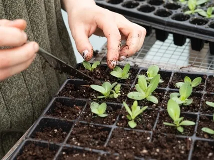 Cultivating Kind Regard 