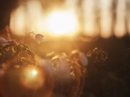 Cultivating Light And Awareness