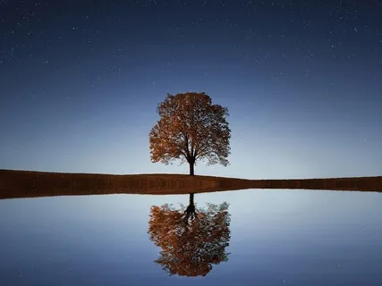 Cultivating Love: A Guided Practice