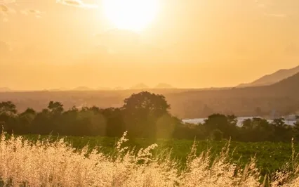 Cultivating Love Meditation