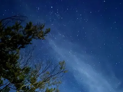 Cultivating... Meditation