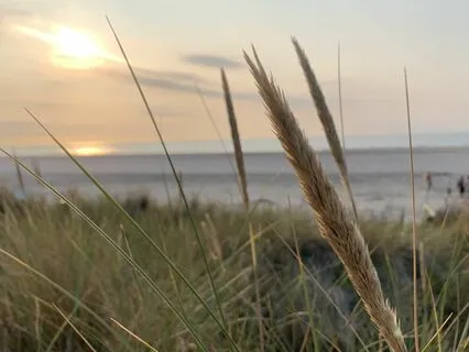 Cultivating Optimism