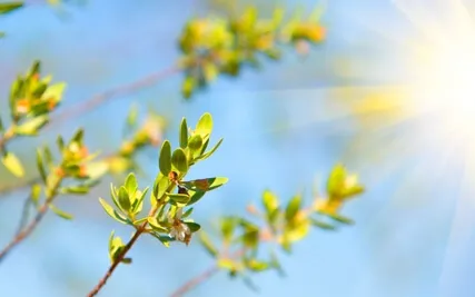 Cultivating Our Connection To Air And Earth