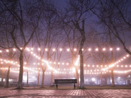 Cultivating Our Sense Of Connection 