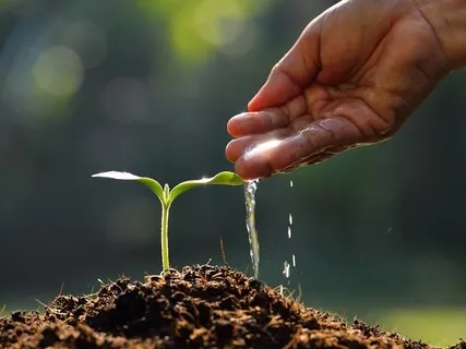 Cultivating Patience & Contentment