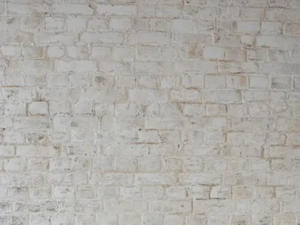 Cultivating Patience In A Fast-Paced World