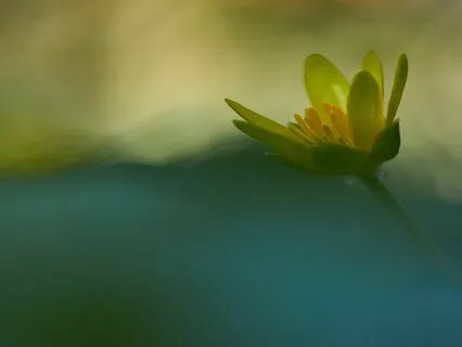 Cultivate And Nourish