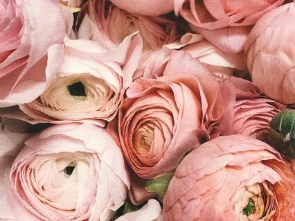 Cultivating Positive Emotions