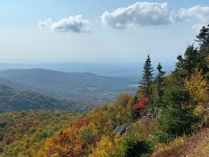 Cultivating Positivity 