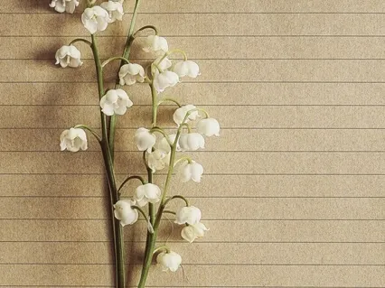 Cultivating Positivity