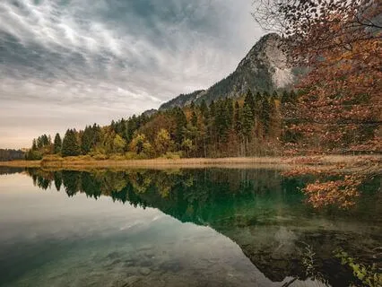 Cultivating Presence For Intentional Leadership