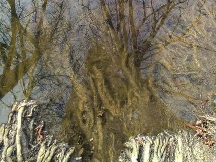 Cultivating Presence In Difficult Times