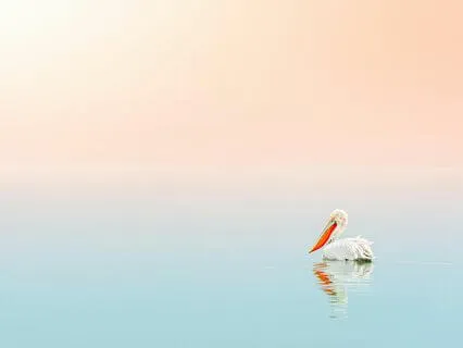 Cultivating Presence In Stillness