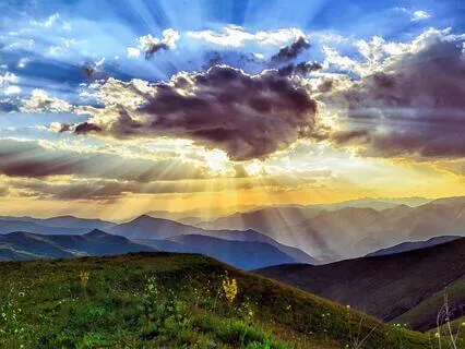 Cultivating Presence