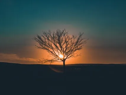 Cultivating Present Moment Awareness