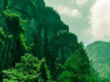 Cultivating Resilience And Overcoming Obstacles