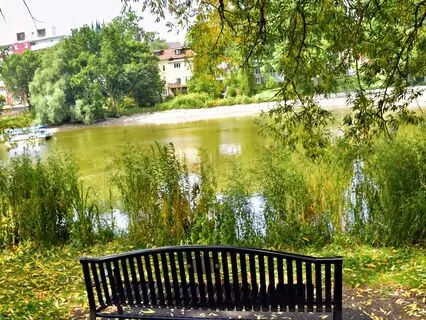 Cultivating Resilience Through Gentle Strength