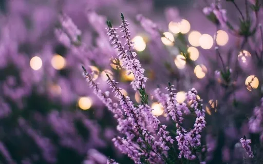 Cultivating Safety And Goodness