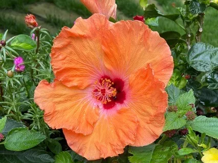 Cultivating Self Care And Sharing Compassion With Others